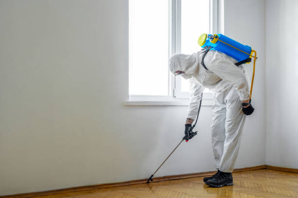 Best Termite Inspection and Treatment  in Lincoln Park, NJ